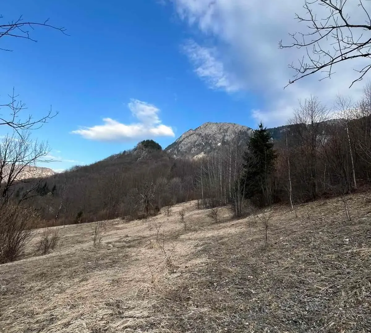 Prodaja, plac, 3500m², Nadgora, Žabljak