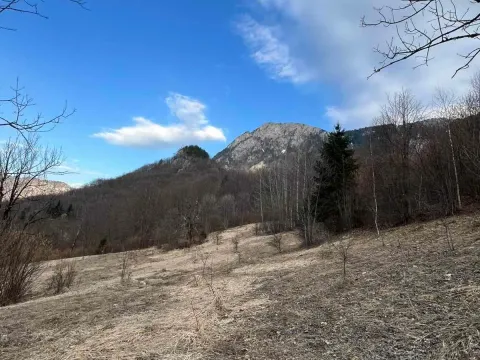 Prodaja, plac, 3500m², Nadgora, Žabljak - image 8