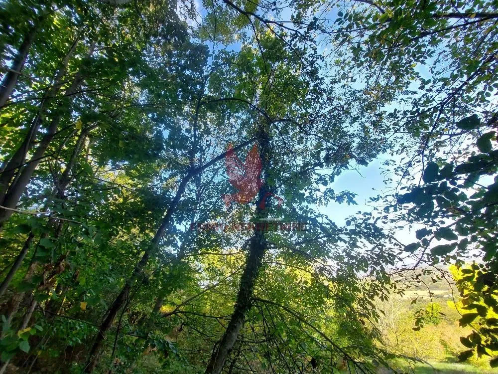Prodaja, plac, 5700m², Arandjelovac, Srbija