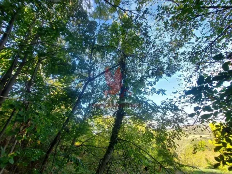 Sale, land lot, 5700m², Arandjelovac, Srbija - image 19