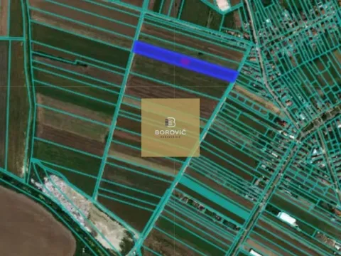 Sale, land lot, 7779m², Dobanovci, Surčin