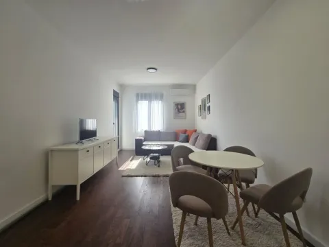 Rent, one bedroom apartment, 44m², Central Point, Podgorica - image 1