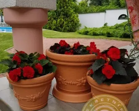 Sale, house, 420m², Kać, Novi Sad Sve Podlokacije - image 8