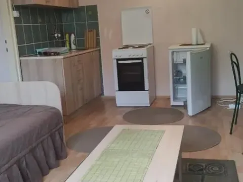 Izdavanje, garsonjera, 27m², Centar, Jagodina - image 4