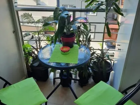 Rent, one bedroom apartment, 40m², Salajka, Novi Sad Sve Podlokacije - image 11