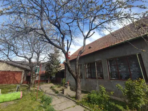 Prodaja, kuća, 207m², Prozivka, Subotica - image 3