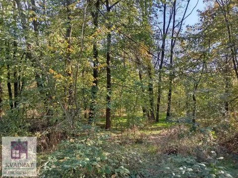 Prodaja, plac, 3800m², Obrenovac, Beograd - image 8