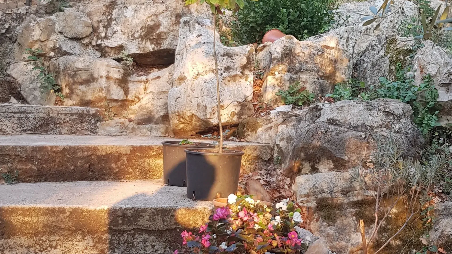 Sale, house, 65m², Kovači, Kotor