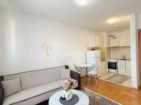 Izdavanje, stan, 36m², Stari Aerodrom, Podgorica - image 9