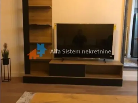 Izdavanje, dvosoban stan, 54m², Savski Venac, Beograd - image 7