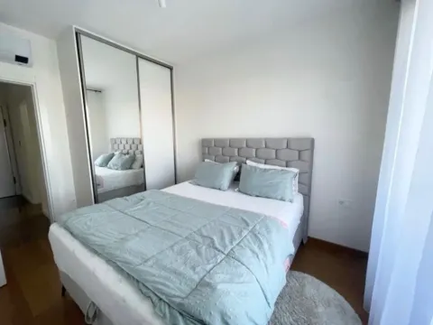 Izdavanje, jednosoban stan, 46m², Tološka šuma, Podgorica - image 6