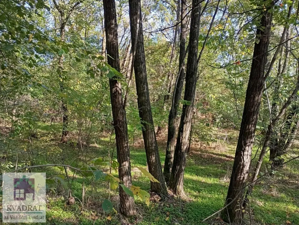Prodaja, plac, 3800m², Obrenovac, Beograd