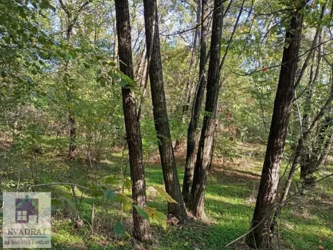 Prodaja, plac, 3800m², Obrenovac, Beograd - image 4