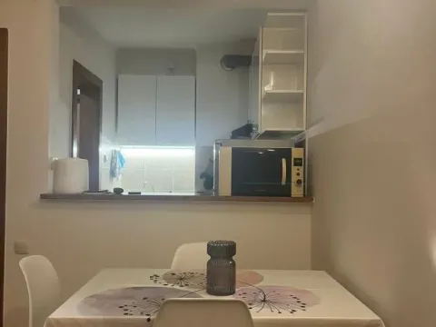 Izdavanje, jednosoban stan, 39m², Centar, Novi Sad - image 3