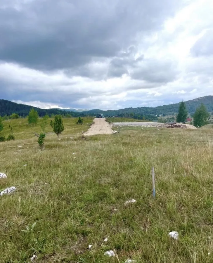 Prodaja, plac, 100000m², Borje, Žabljak