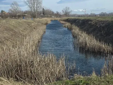 Prodaja, plac, 10756m², Centar, Požarevac - image 8