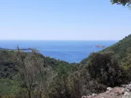 Sale, land lot, 4554m², Radovići, Tivat - image 1