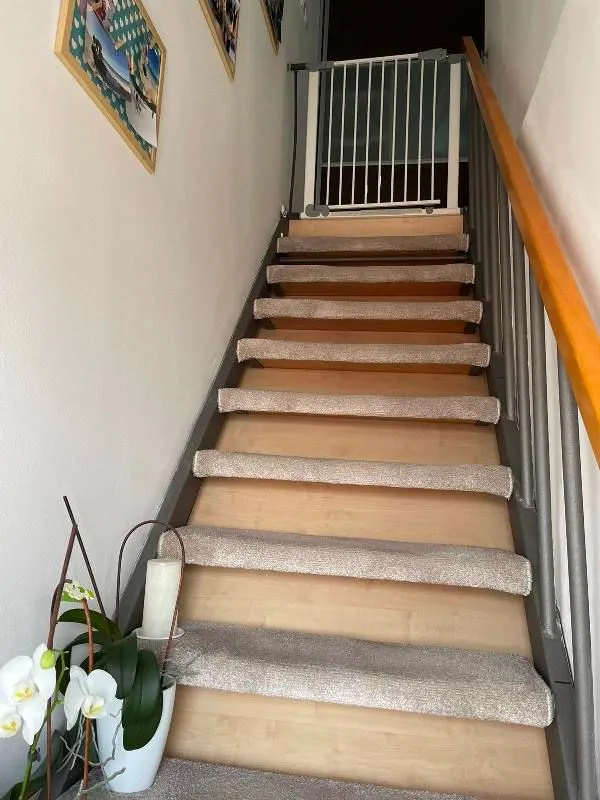 Rent, three bedroom apartment, 60m², Zemun Cara Dušana, Zemun Sve Podlokacije