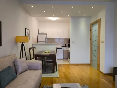 Izdavanje, jednosoban stan, 50m², Preko Morače, Podgorica - image 6