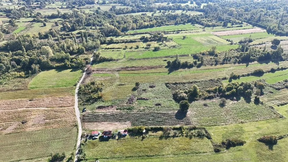 Prodaja, plac, 5500m², Zeta, Podgorica