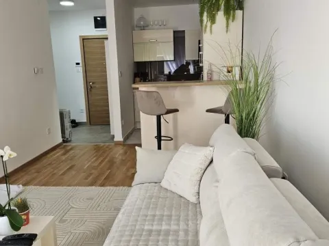 Sale, two bedroom apartment, 44m², Avijatičarsko naselje, Novi Sad Sve Podlokacije - image 2
