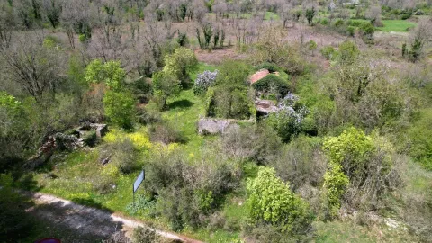 Pogled iz vazduha na veliki plac sa starim ruševinama i bujnim rastinjem. - image 14