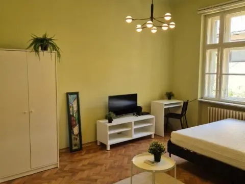 Izdavanje, jednosoban stan, 37m², Centar, Novi Sad - image 4