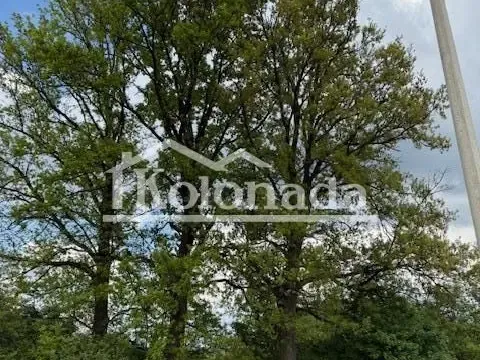 Prodaja, plac, 5436m², Amerić, Mladenovac - image 7