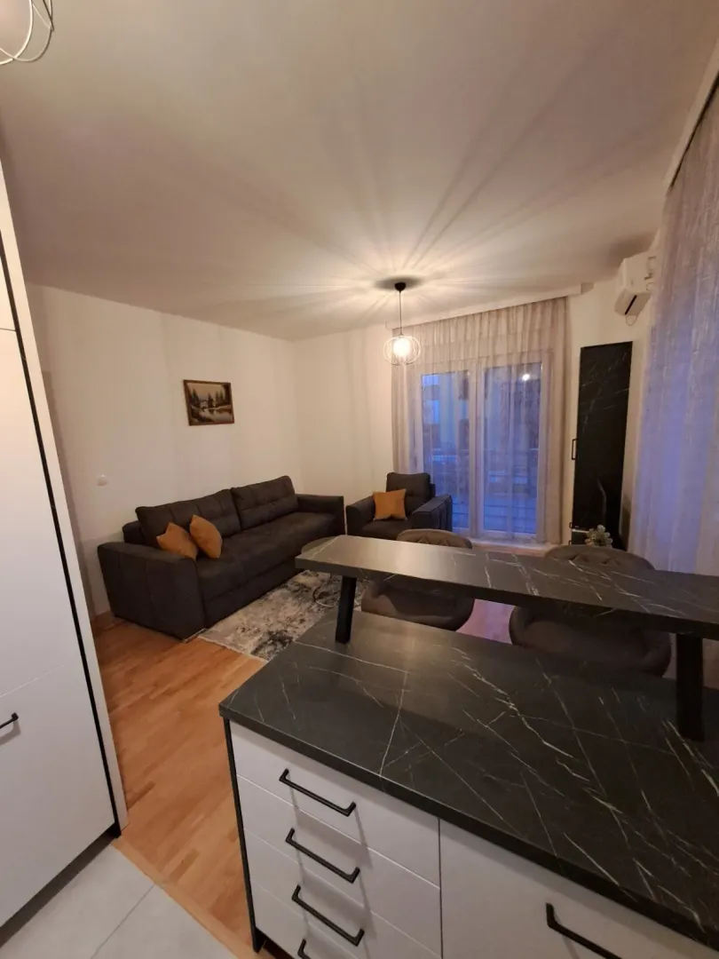 Living room with a sofa and counter.