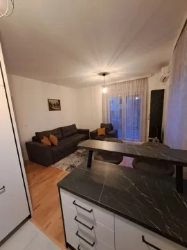 Living room with a sofa and counter. - image 14
