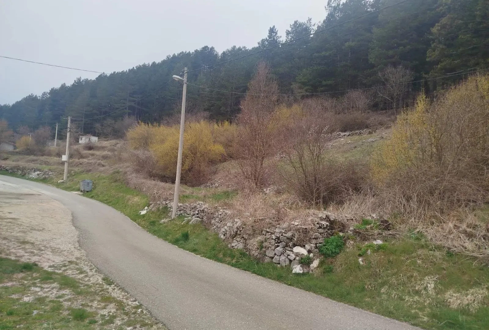 Prodaja, plac, 3730m², Njeguši, Cetinje