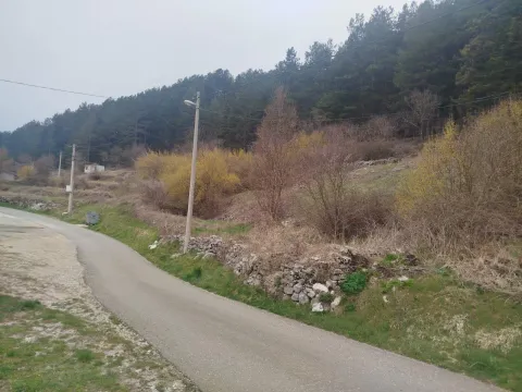 Prodaja, plac, 3730m², Njeguši, Cetinje - image 2