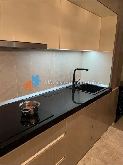 Rent, two bedroom apartment, 58m², Novi Beograd Blok 65, Novi Beograd Sve Podlokacije