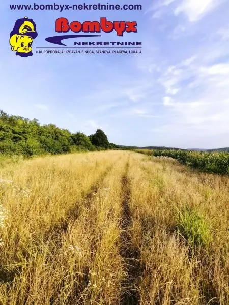 Prodaja, plac, 2700m², Beočin, Srbija
