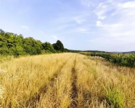 Prodaja, plac, 2700m², Beočin, Srbija - image 3