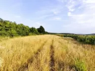 Prodaja, plac, 27m², Beočin, Srbija - image 3