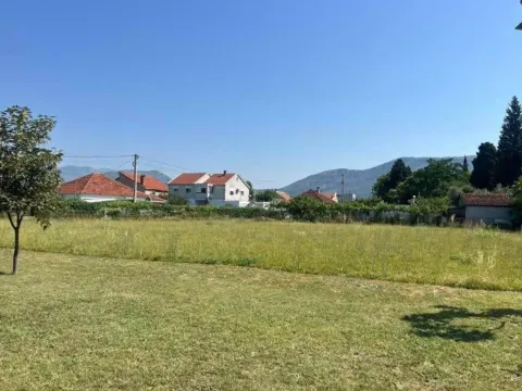 Zemljište in Masline
