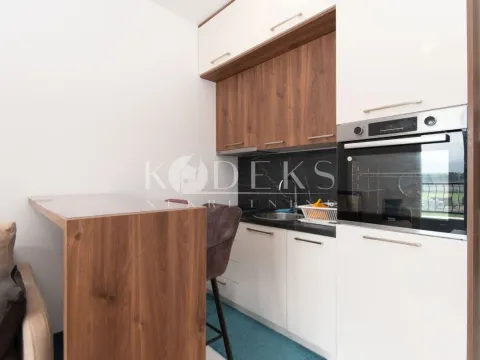 Izdavanje, garsonjera, 27m², Stari Aerodrom, Podgorica - image 16