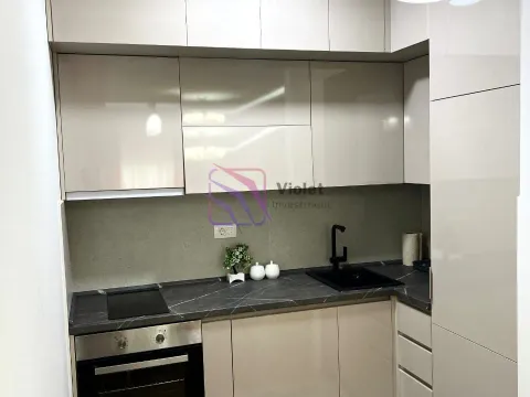 Rent, one bedroom apartment, 47m², Central Point, Podgorica - image 4