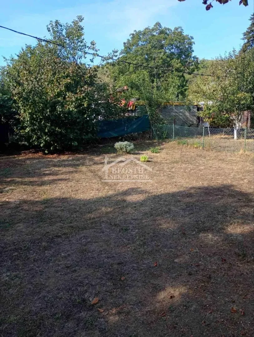 View of the grassy yard and green areas.