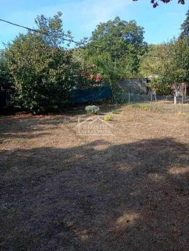 View of the grassy yard and green areas. - image 3