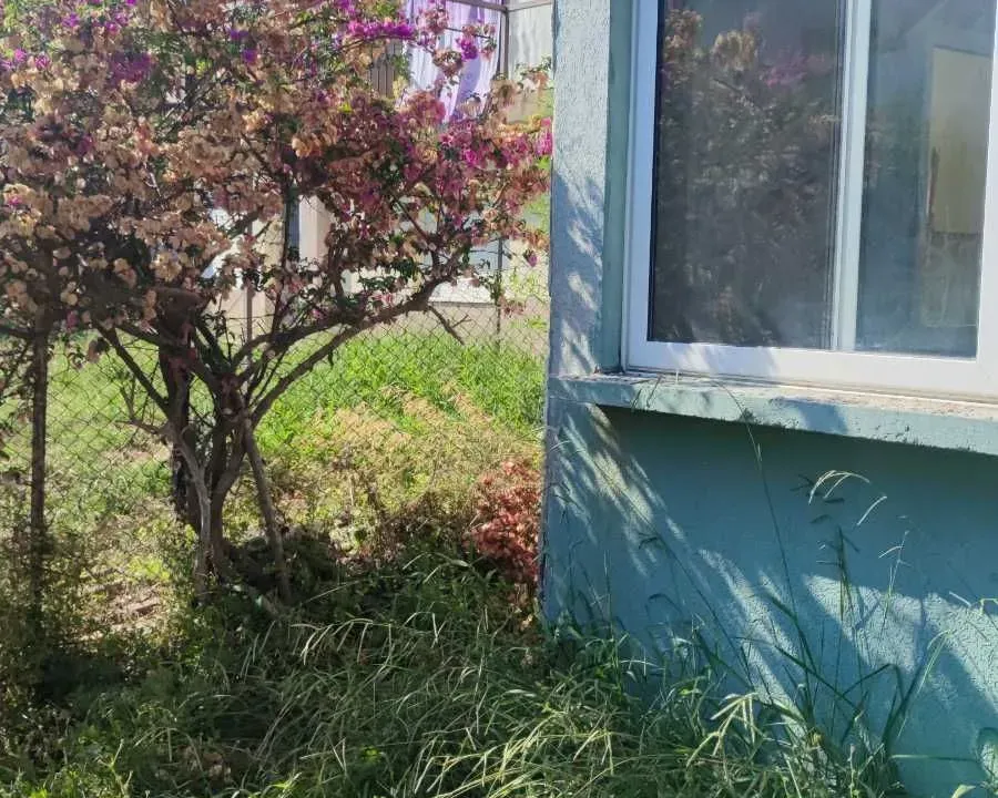 Prodaja, kuća, 200m², Bar, Crna Gora