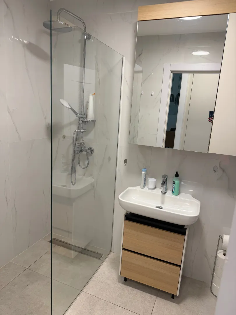 Modern bathroom with a walk-in shower and washbasin.