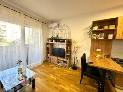 Izdavanje, garsonjera, 29m², Ljubović, Podgorica - image 9