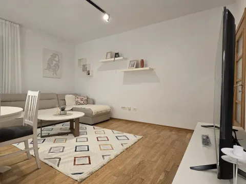 Rent, one bedroom apartment, 46m², Nova Dalmatinska, Podgorica - image 7