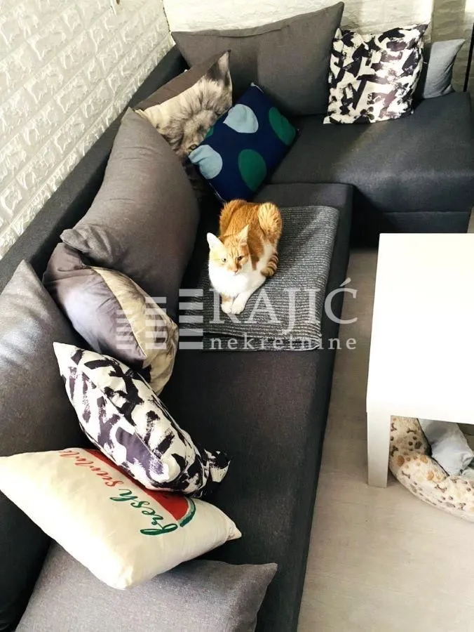Corner sofa with cushions in the living room.