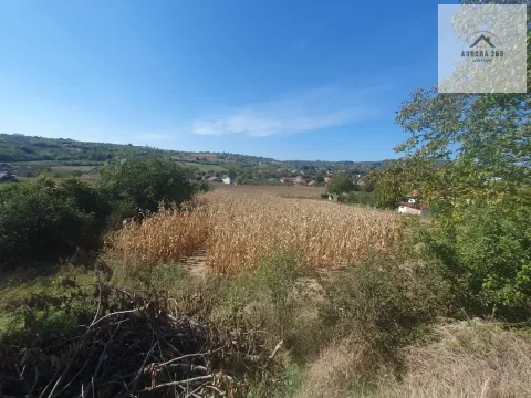 Prodaja, plac, 2300m², Banja Vrdnik, Irig - image 2