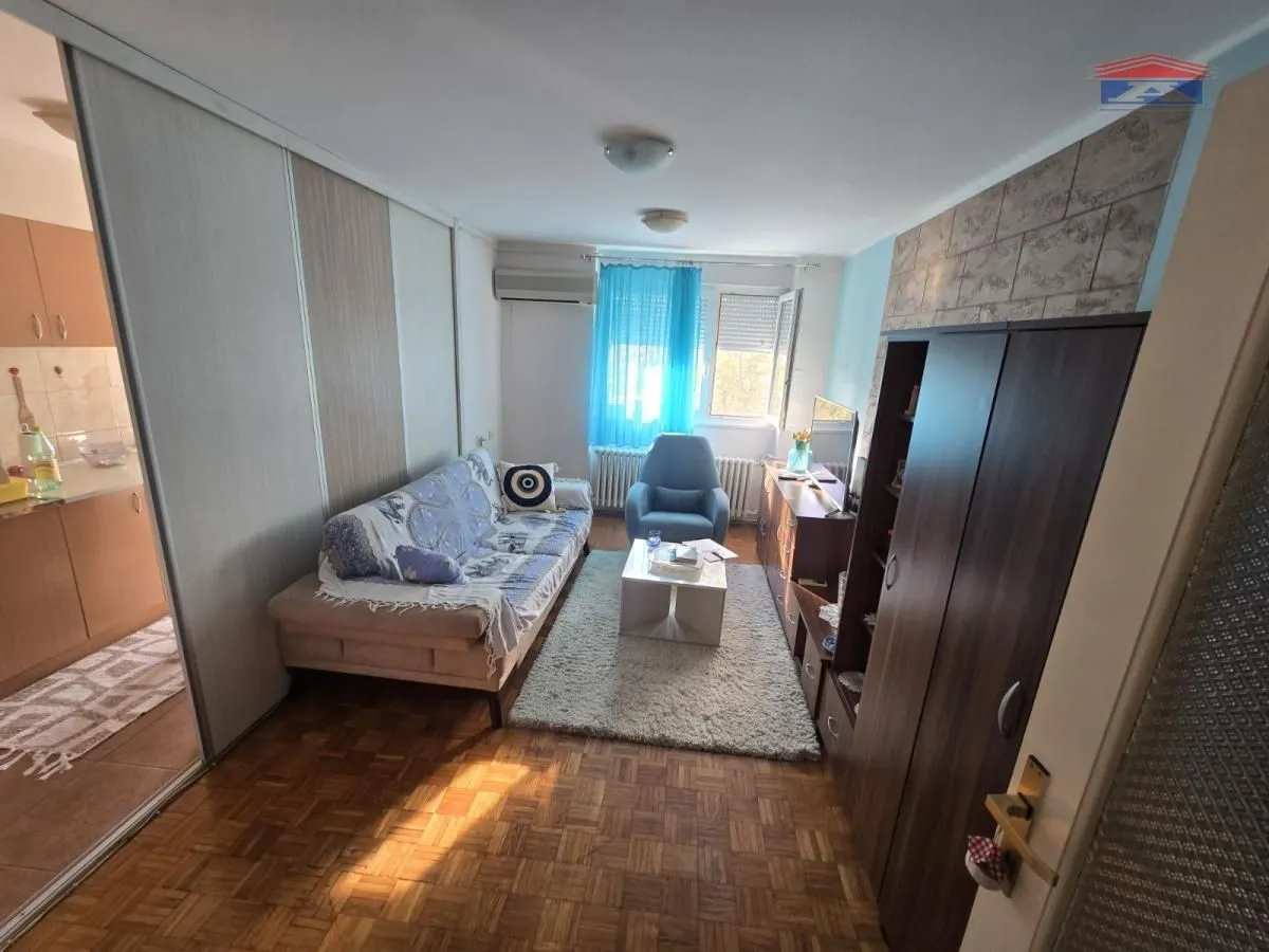 Dnevna soba sa kaučem, foteljom i nameštajem.