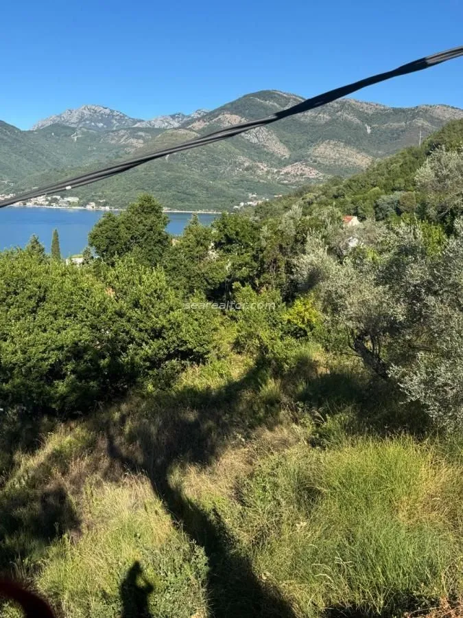 Prodaja, plac, 3161m², Donja Lastva, Tivat