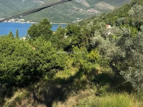 Prodaja, plac, 3161m², Donja Lastva, Tivat - image 2